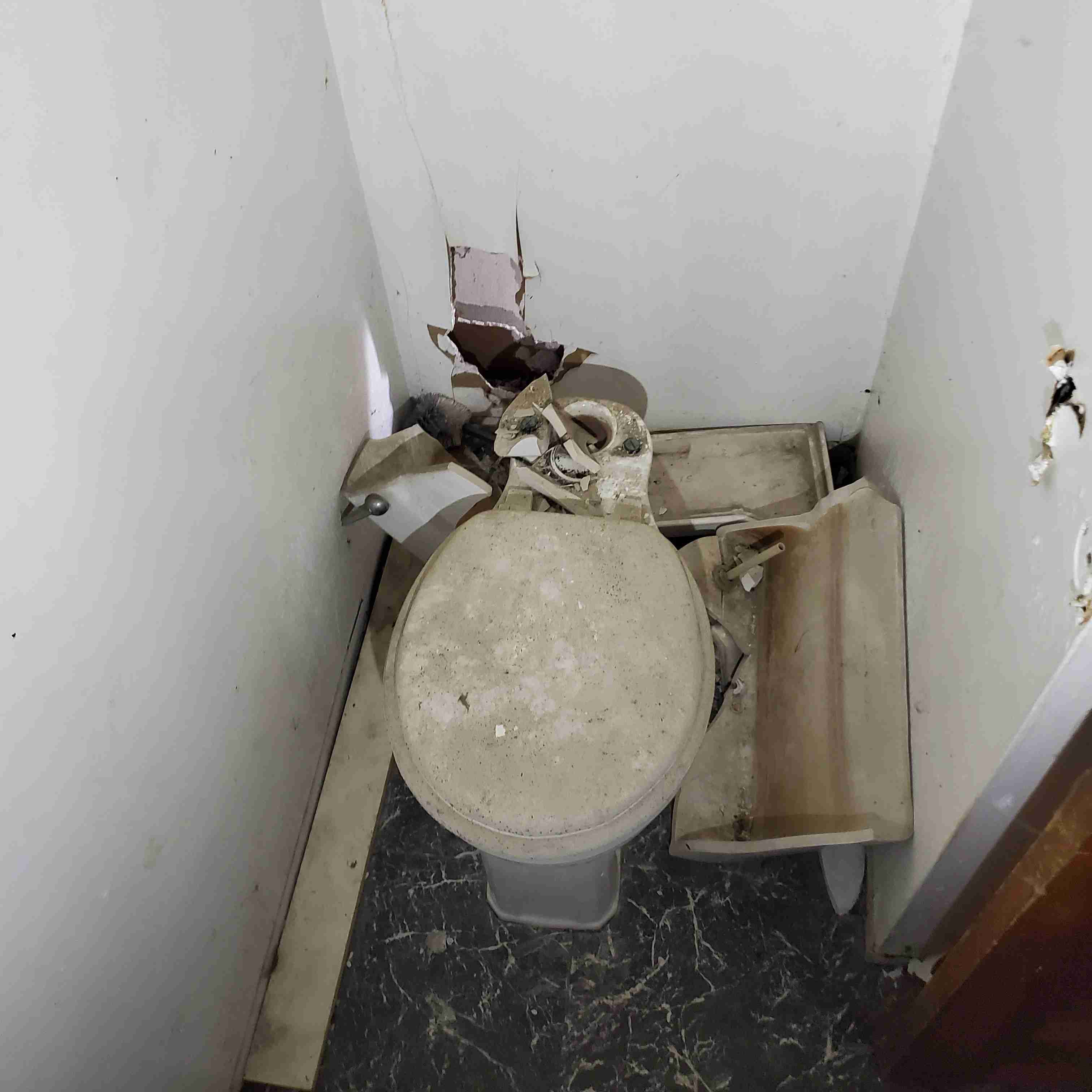 20200812_154338 (2).jpg